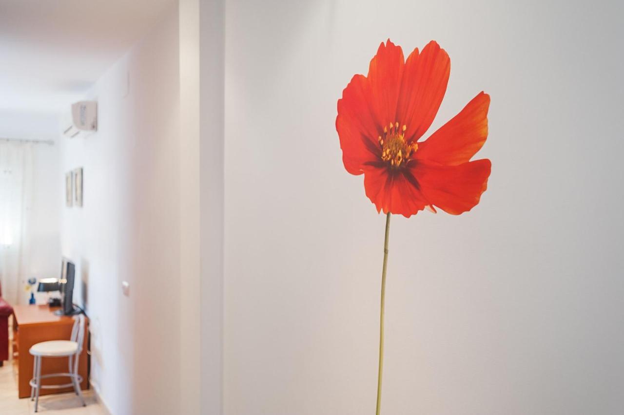 Apartament Piso Sebastian 2 Alto Solo Familias Conil De La Frontera Zewnętrze zdjęcie
